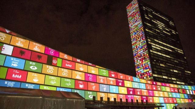 SDG17