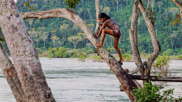 A girl is climbing barefoot on a large, slanted tree trunk over the water by the riverbank. She is wearing a colorful summer dress and is surrounded by dense, green rainforest in the background. The water flows calmly, and the surrounding trees give the scene a natural and fairy-tale-like atmosphere.