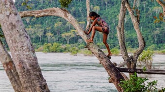 A girl is climbing barefoot on a large, slanted tree trunk over the water at the riverbank. She is wearing a colorful summer dress and is surrounded by dense, green rainforest in the background. The water flows calmly, and the surrounding trees give the scene a natural and almost magical atmosphere.